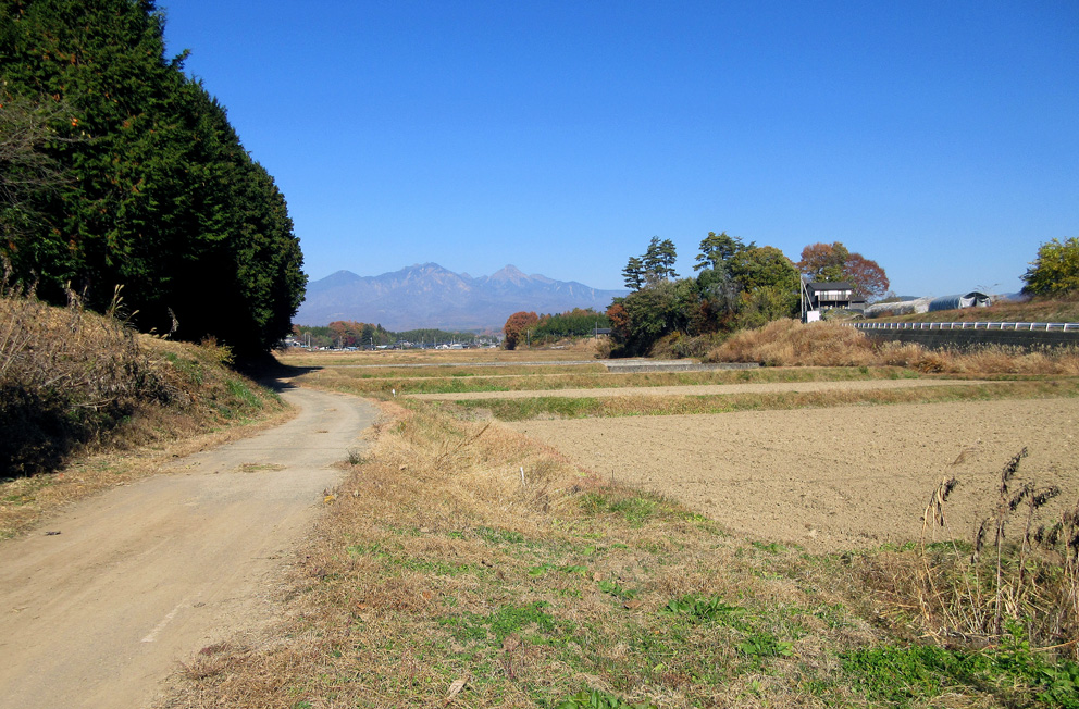 田んぼ道の写真